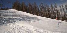Pista da sci alpino Webcam - La Salle-les-Alpes