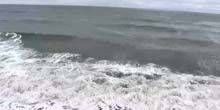 Salisbury Beach Panorama Ozean Webcam - Salisbury