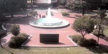 Fontana nel centro della città Webcam - Greenville