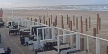 Cafe an der Küste Webcam - Alkmaar