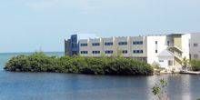 College of Florida Keys Gemeinschaft Webcam - Key West