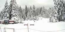 Station de ski de Cypress Mountain Webcam - Vancouver