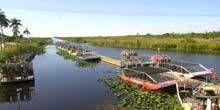 Zones humides des Everglades Webcam - Miami