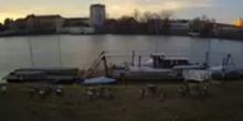 La berge de la rivière Tisa Webcam - Szeged