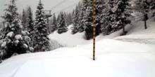 Route forestière dans les montagnes Webcam - Trento