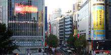 Gratte-ciel dans la région de Shibuya Webcam - Tokyo