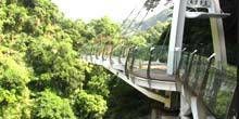Pont de verre Skywalk Webcam - Taoyuan