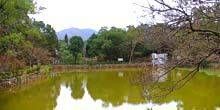 Lago nel parco Jiaobanshan Webcam - Taoyuan