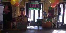 Karaoke-Bar Webcam - New Orleans