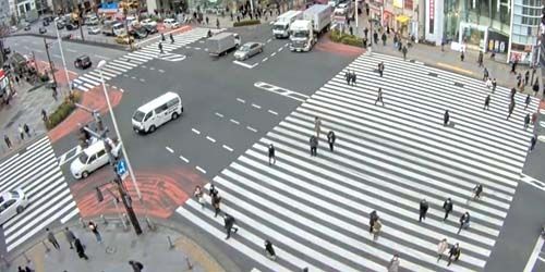 Fußgängerüberweg im Shinjuku-Gebiet Webcam - Tokio