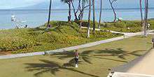 Westin Resort Kaanapali Ocean Resort Villas Webcam - Les îles hawaïennes