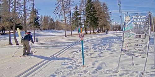 Ski de fond sur le territoire du club de golf Webcam - Crans Montana