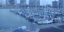 Jetée avec yachts (caméra PTZ) Webcam - Corpus Christi