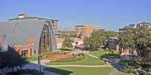 Université privée Webcam - Tampa