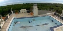 Schwimmbad gegen das Meer im Eraclea Palace Hotel Webcam - Venedig