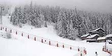 Piste de ski en arrière-plan d'une belle forêt Webcam - Martigny