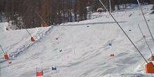 Piste de ski Webcam - La Salle-les-Alpes