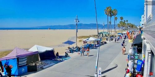 Spiaggia di Venezia in California Webcam - Los Angeles