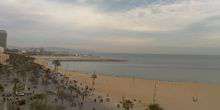 Una bella spiaggia centrale Webcam - Barcellona