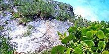WebKamera Saint George - Bermuda - Nonsuch Insel