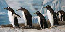 WebKamera Milwaukee - Pinguine in der Voliere