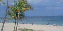 WebKamera Miami - Sandstrand mit Palmen
